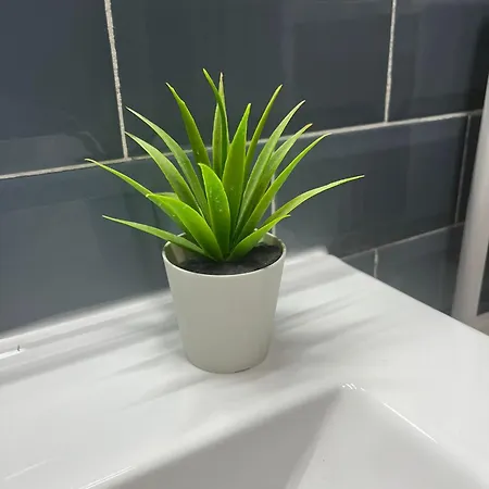 Apartamento Nicholas *