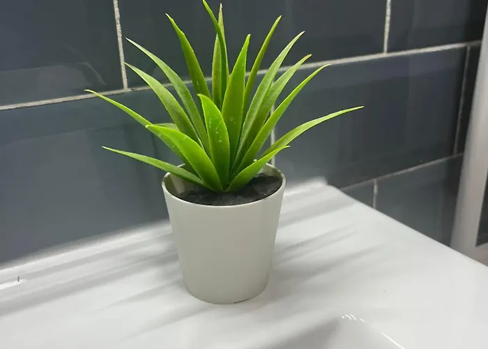 アパート Nicholas *